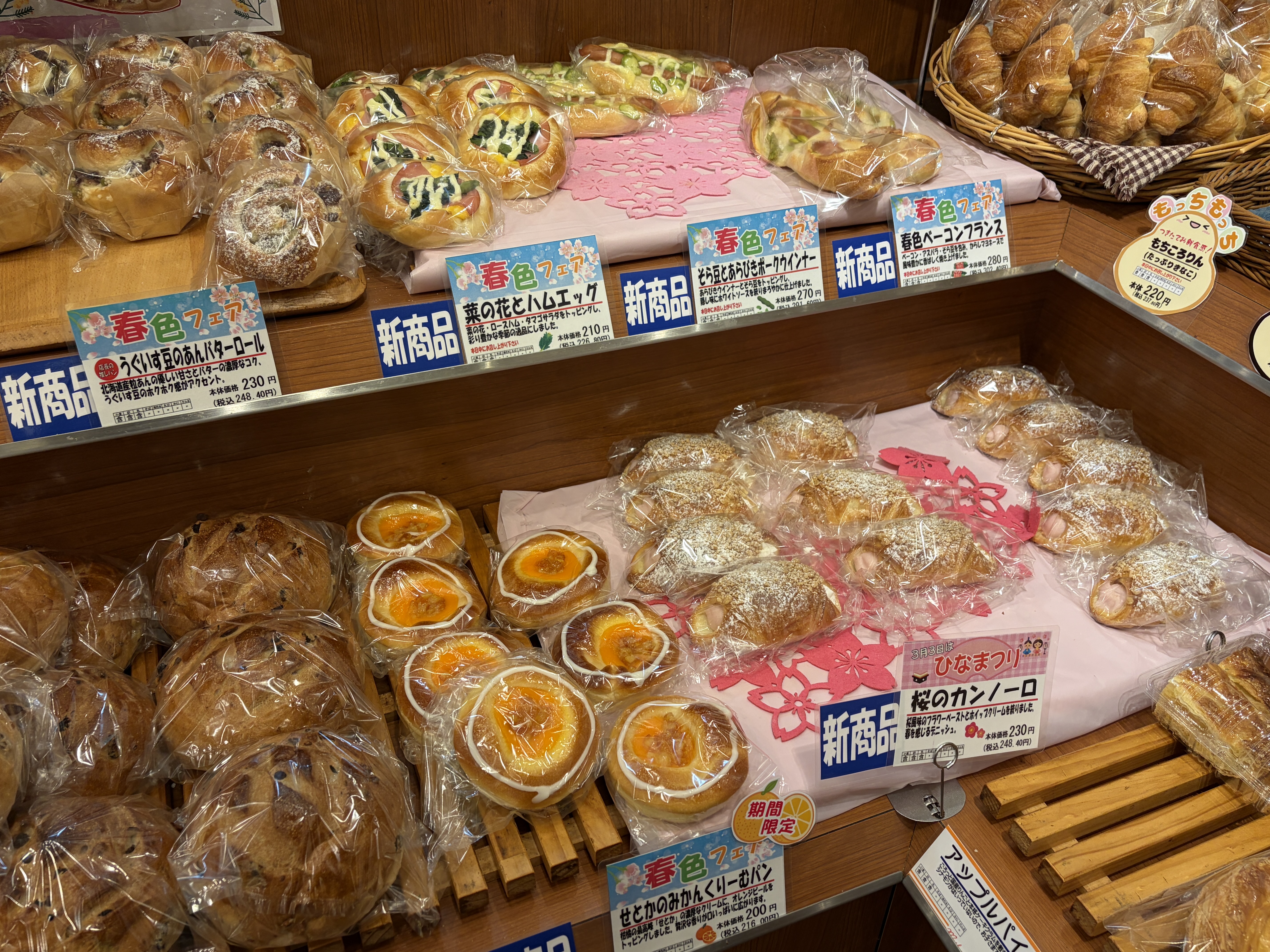 春色フェア　開催中！