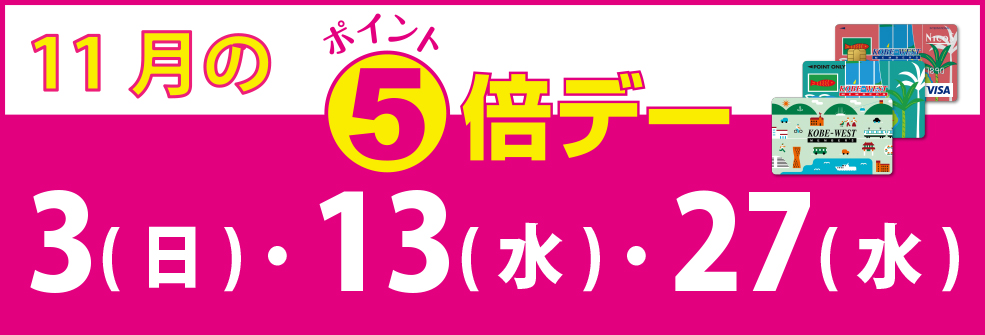 11月のポイントデー